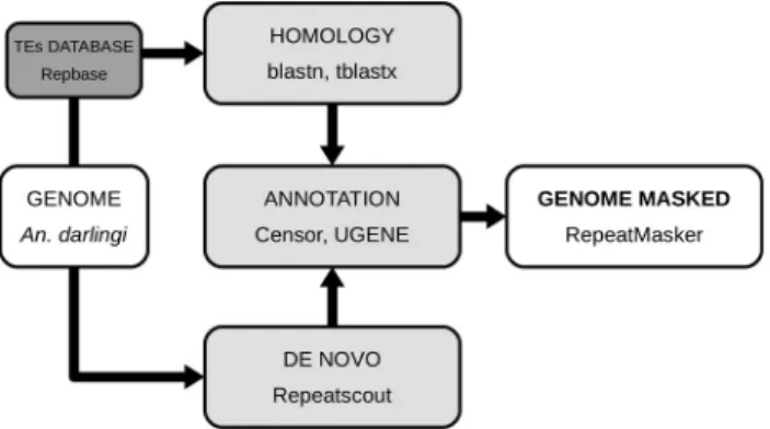 Figure 1 - Flowchart depicting the pipeline implemented in this study for analysis and annotation of the An