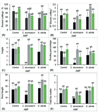 Figure 2. Concentrations of chlorophyll “a” in  L. camara  plants  from IBA application cuttings, in the presence of two AMF soles