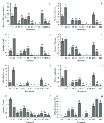 Figure 1.  In vitro  culture of germinated seedlings from zygotic  embryos (a) and seeds (b) of Caesalpinia ferrea in MS medium  after 30 days.