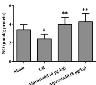 Figure 7 -  Effect of alprostadil on p-eNOS/eNOS in  the left ventricles (n=3).  ## P&lt;0.01 vs