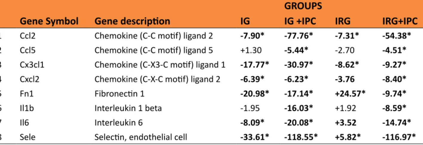 Table 1  - Expression of eight genes related to inflammatory response in the endothelial intestinal cell  of rats of ischemic group (IG), ischemic and reperfusion group (IRG), preconditioning and ischemia  group  (IG+IPC)  and  preconditioning  and  ischem