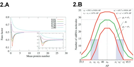 Figure 2A shows the Fano factor for a self-repressing gene in the sub-Fano regime. Note the possibility of finding arbitrarily low values for F when h in =1