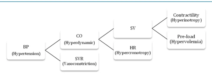 Figure 3 - Hemodynamic components of blood pressure. BP: blood pressure; CO: cardiac output; SVR: systemic vascular resistance; 