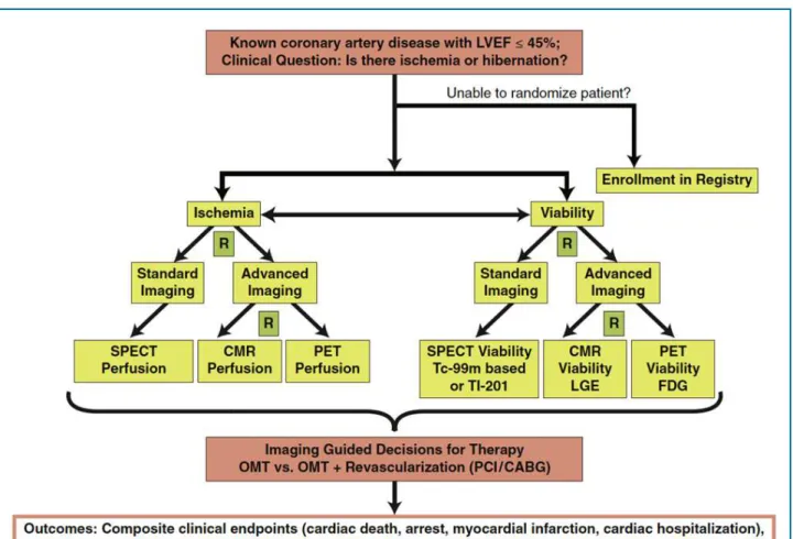 Figure 7 - “The AIMI-HF (Alternative Imaging Modalities in Ischemic Heart Failure) trial algorithm”