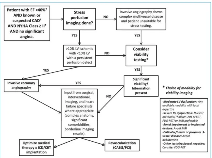 Figure 5 - Flow diagram illustrating a potential algorithm for use of viability imaging
