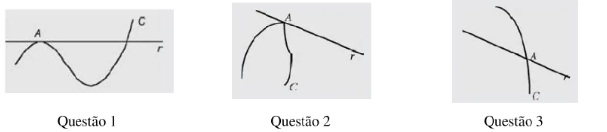 Fig. 2.5  –  Algumas das questões utilizadas no estudo de Viseu e Almeida (2003, pp. 218 e 219)