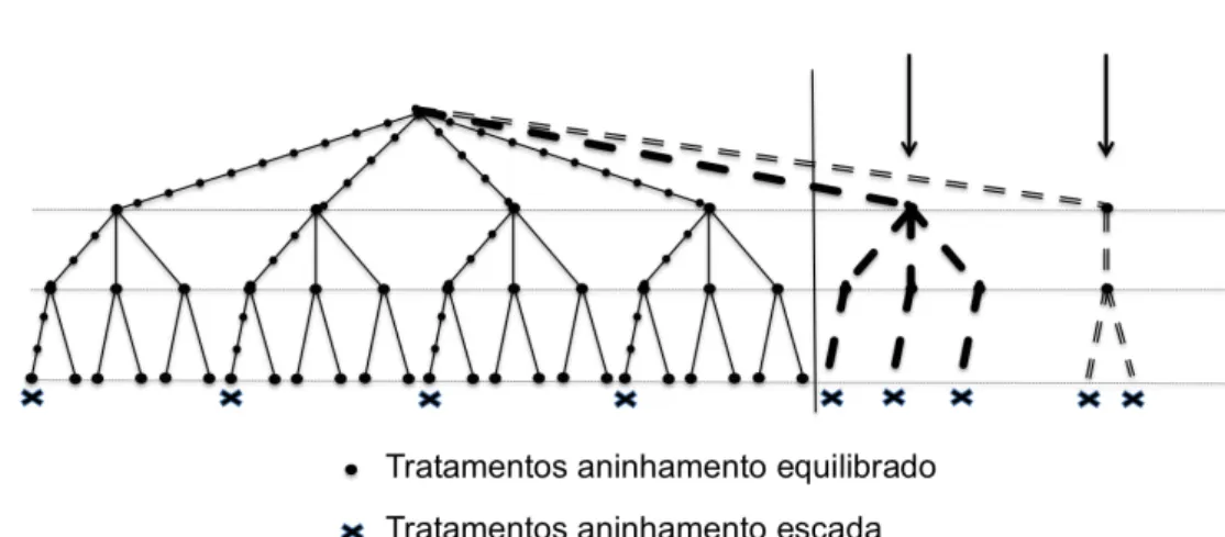 Figura 3.1.4: Modelo com aninhamento em escada (9 tratamentos) versus modelo com aninhamento equilibrado (24 tratamentos)