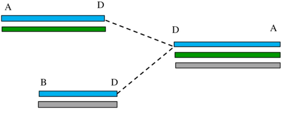 Figura 5 - Combines 