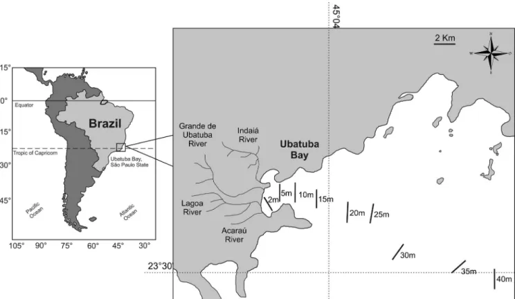 Figure 1. Map of South America. In detail, the Ubatuba coast in São Paulo, Brazil, indicating the location and depth of the transects