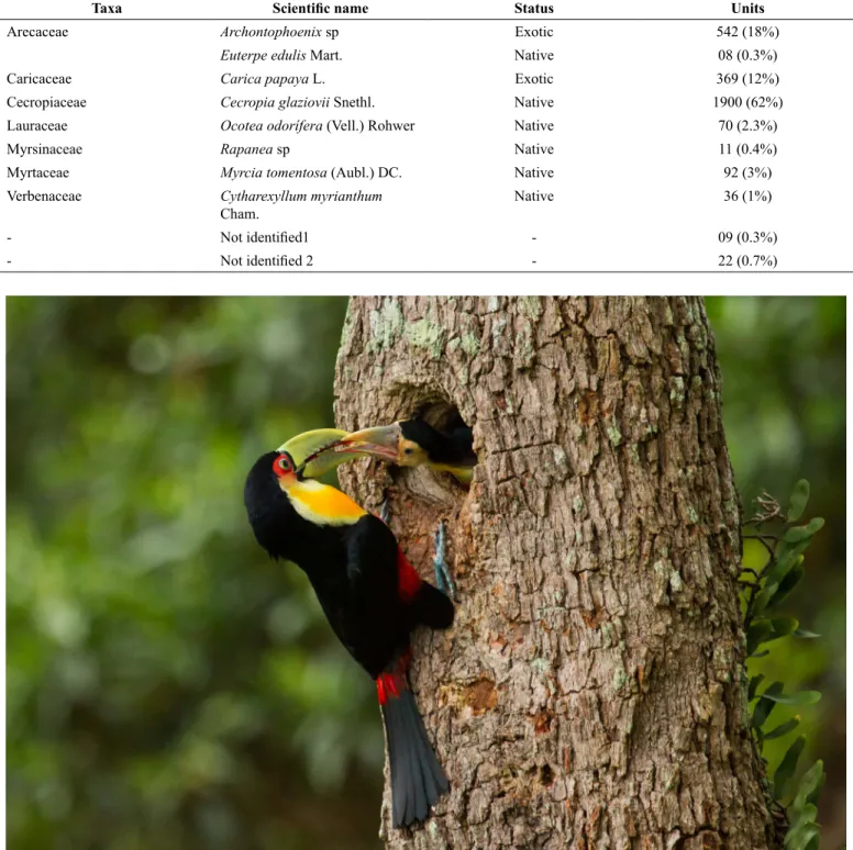 Table 2 - Seeds found in one nest of Ramphastos dicolorus.