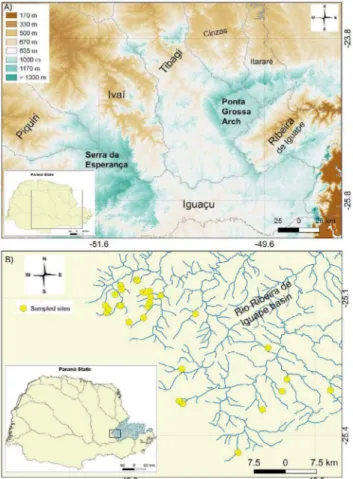 Figure 1. Map of the study area showing: (A) hypsometric map of Paraná State  with highlight to the Ponta Grossa Arch, (B) the location of the rio Ribeira de  Iguape basin within of the Paraná State, and sampled sites in headwater streams.