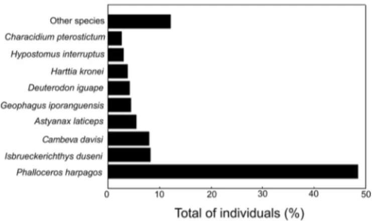 Figure 6. Percentages of number of individuals of each species with more  than 100 individuals collected in the headwater streams from the rio Ribeira  de Iguape basin, Paraná State, Brazil.