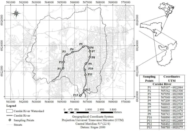 Figure 1. Map of Carahá River basin with the sampling points. 