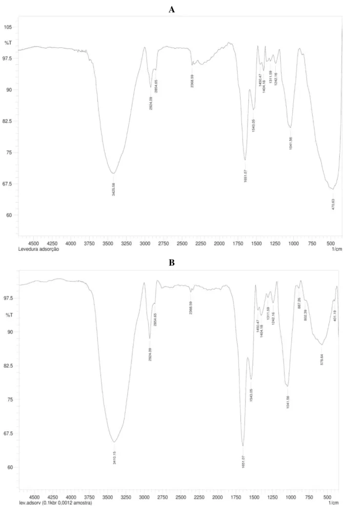 Figure  8.  FTIR  spectra  of  yeast-MnO 2   composites  before  MG  adsorption  (a)  and  after  MG  adsorption (b)