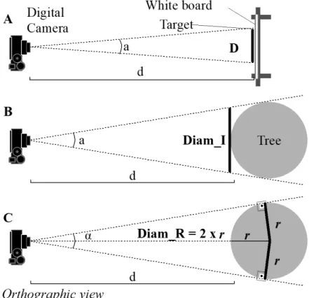 Figure 2. (A) Schematic illustration of photographic cameras calibration by IFOV calculation; (B) Schematic  illustration of calculation the diameter as a row of pixels in a one-dimensional plane in the image; (C) Schematic  illustration of calculation the