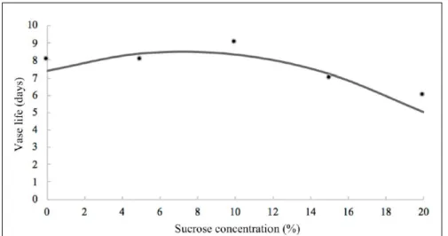 Figure 1 - Regression curve between different sucrose concentrations and vase life of aster stems.