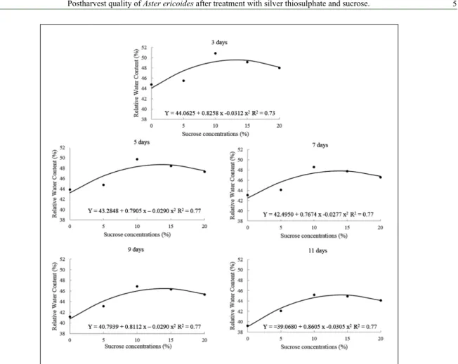 Figure 3 - Regression curves relating different sucrose concentrations and relative water content  (RWC; in %) of aster stems submitted or not to STS pulsing