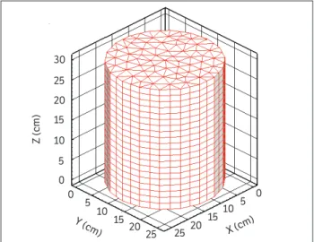 Figure 3. Numerical model mesh.