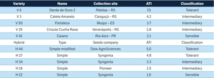 Table 1. List of landraces varieties and maize hybrids, with the respective Al tolerance index (ATI) and Al tolerance classification.