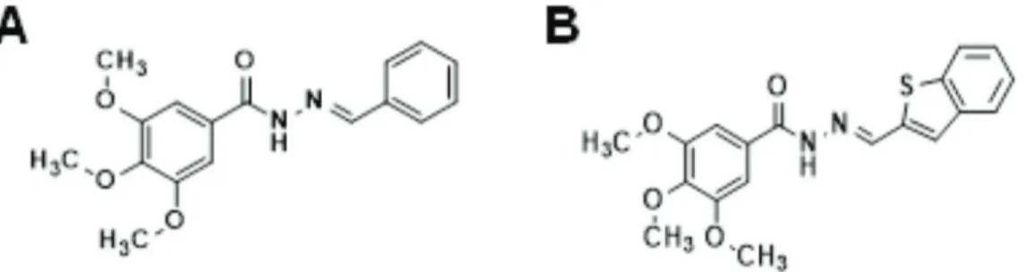 Figure 2 - Combretastatin A-4 analogs. (A) LASSBio-1586. (B) LASSBio-1920.