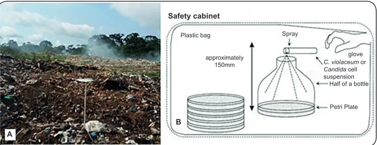FIGURE 1: Example of a collection site for airborne microorganisms in the municipal dump of Itacoatiara, Amazonas