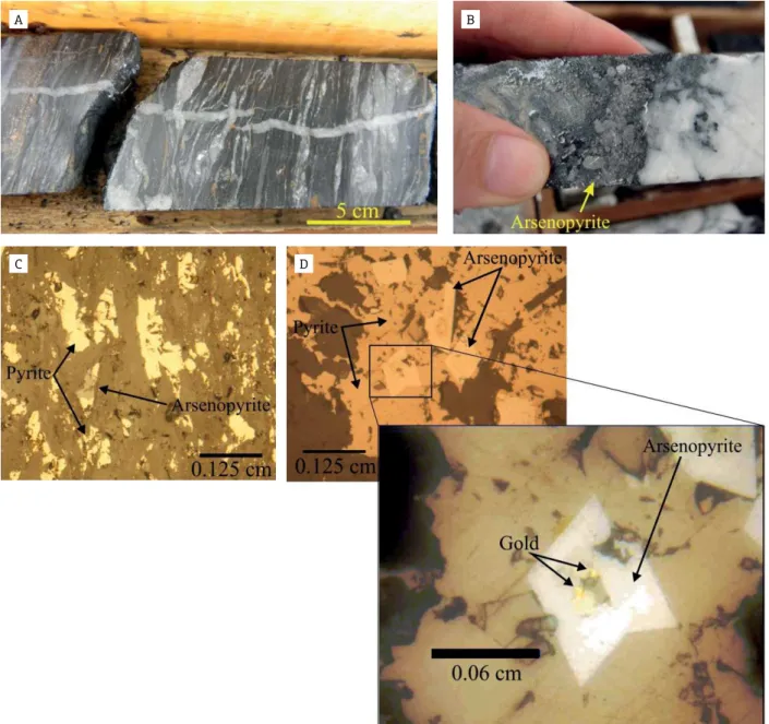 Figure 6. Drill hole samples (A, B) and photomicrographs (C, D) of quartz veins and veinlets from mineralized  zones of the C1-Santaluz deposit