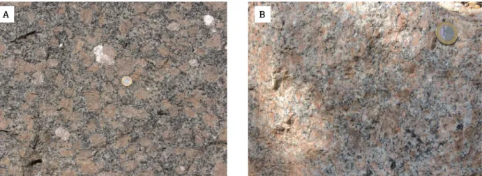 Figure 3. (A) Image of Bragança Paulista-type from the Pedra Bela hill. (B) Image of the dated sample of Salmão- Salmão-type granite.