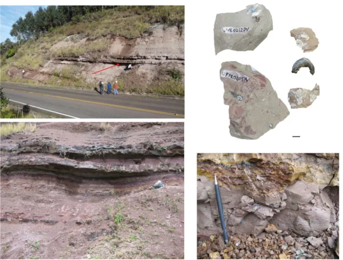 Figure 4. Point 3 and undetermined bone fragments found at this point (scale: 1 cm). 