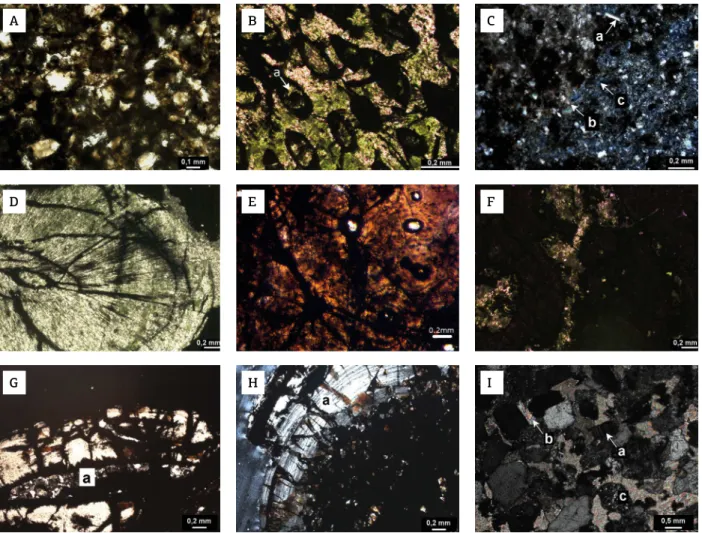 Figure 8. Thin sections. (A) UFPR 0097 PV B from Point 1. Detail of the sandy siltstone with sub-rounded quartz  grains associated with a jaw of temnospondyl