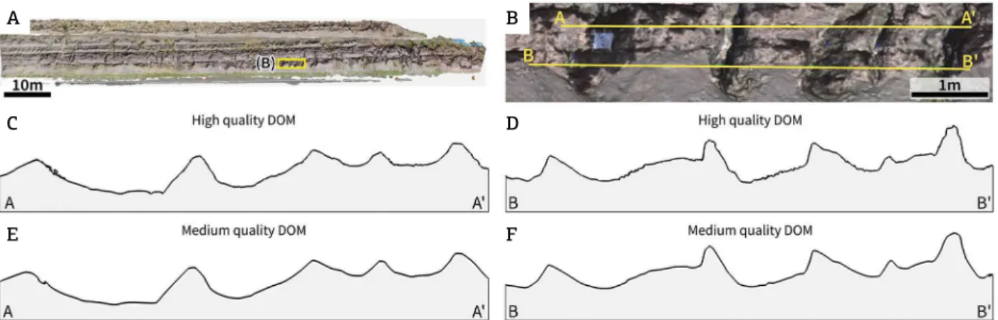 Figure  5.  Digital  Outcrop  Models  (DOMs)  sections  showing  the  difference  between  medium-  and  high-quality  processing  options  of  Agisoft  PhotoScan