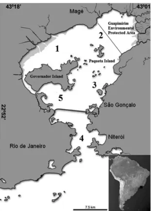 Figure 1. Guanabara Bay showing locations of samples taken from  July  2005  through  June  2007  (Phase  I)  and  from  November  2012  through March 2015 (Phase II - only points 3 and 5), Rio de Janeiro,  Brazil, southwestern Atlantic