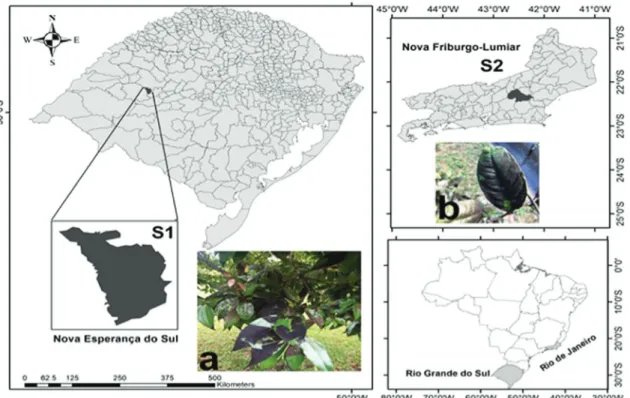Figure 1. Location of the study area and samples collected in (S1) Nova Esperança do Sul, RS and (S2) Nova Friburgo-Lumiar, RJ