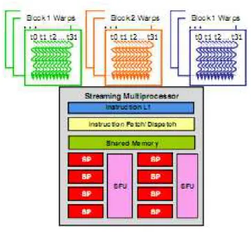 Figura 2.2 Organização dos warps  (Figura retirada de [8])