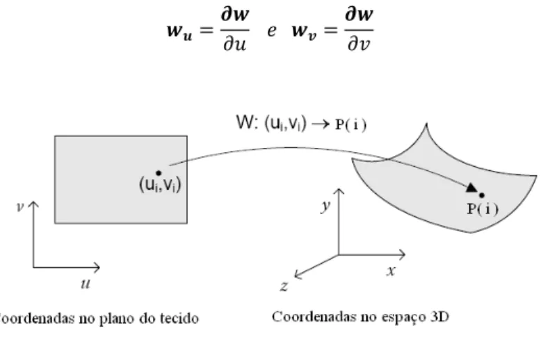 Figura 6 - Função w segundo o modelo de Baraff e Witkin. 