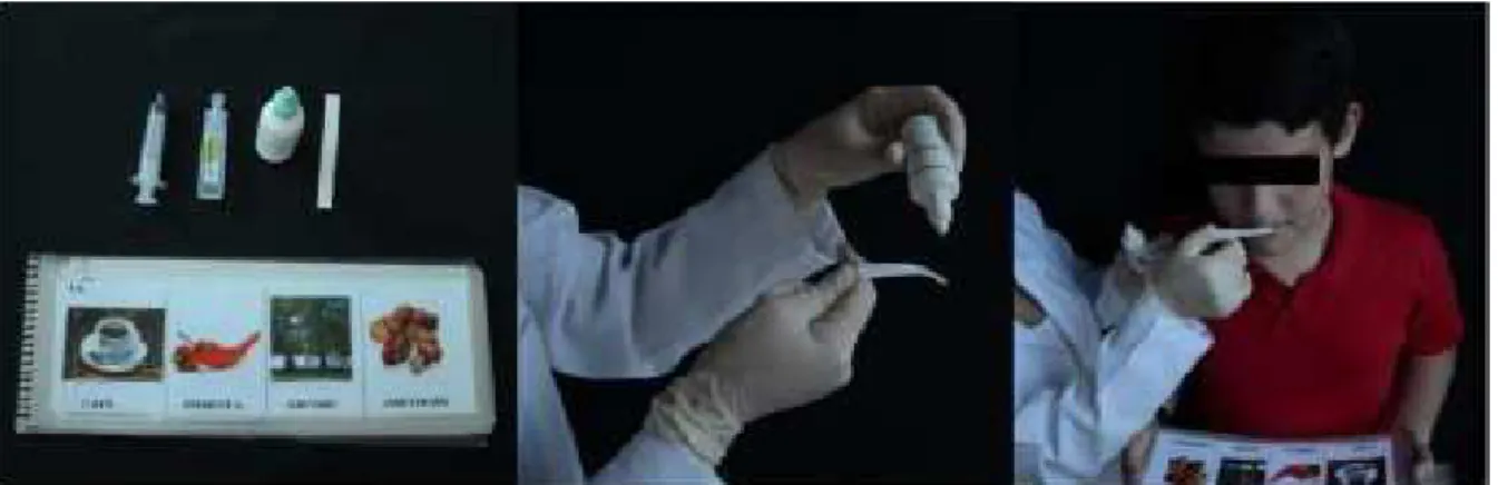 Figure 1. Material used and procedure performed for olfactory evaluation