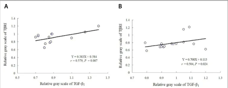 Fig. 2 – A comparison between the quantitative relative gray scales  of transforming growth factor-beta (TGF-β 1 ) and transforming  growth factor-beta receptor I (TβRI) of the aortic dissection (AD) and  the coronary artery disease (CAD) groups