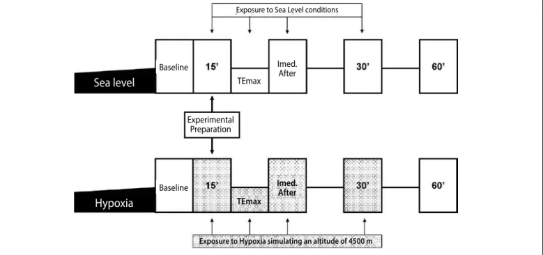 Table 1 presents the descriptive analysis of the cardiorespiratory  variables of TEmax at sea level