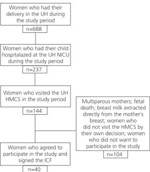 Figure 1.  Flowchart of the study sample. São Paulo (SP), Brazil,  2016/17.