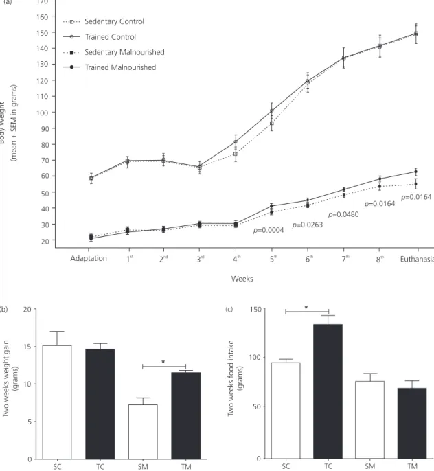 Figure 1. Growth, weight gain and food intake of trained and untrained control and malnourished rats