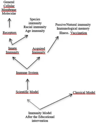 Figure 2- Immunity model after educational intervention. The scientific model is conceptualized from the  concept of defense, from which the concepts of innate immunity and acquired immunity derive