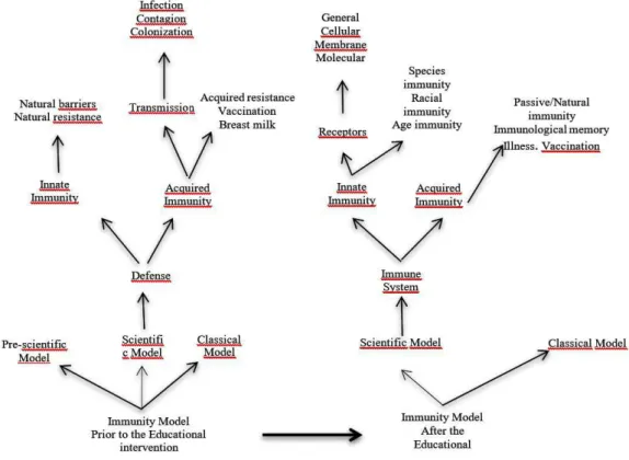 Figure 3- Comparison of immunology models prior to and after the educational intervention (left and right  respectively)