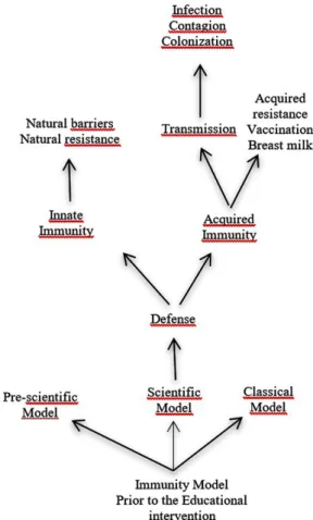 Figure 1- Representation of students’ immunity model − inferred from their responses − before the  educational intervention