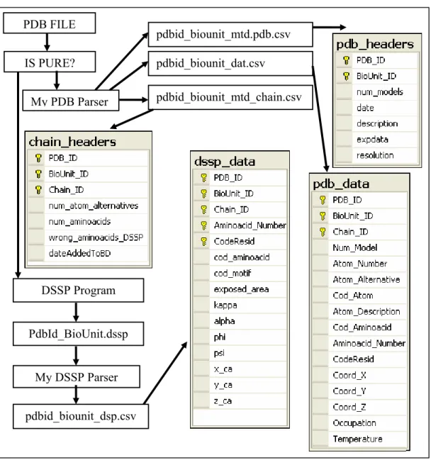 Figure 2.1-1 Scheme of processing a single PDB File 