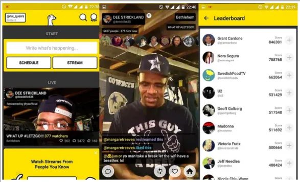 Figure 2.2: A set of screenshots from Meerkat interface