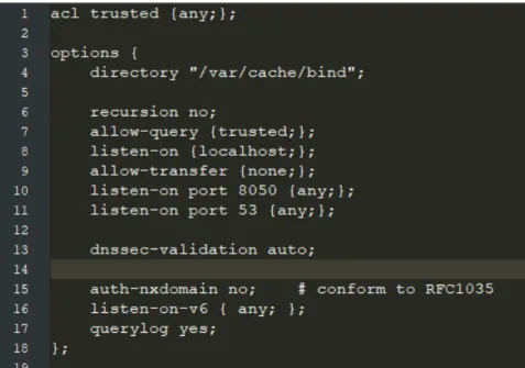 Figure 4.2: Configuration file of authoritative servers of the root and .net domains