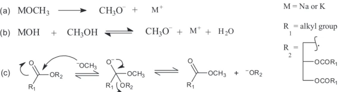 Figure  1. Formation of free methoxide by (a) the dissociation of alkaline methoxide and (b) by the reaction of alkaline hydroxide with methanol; 