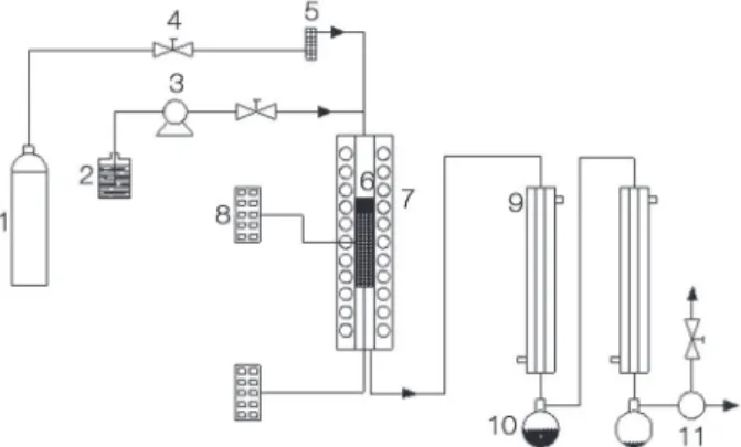 Figure 1. Schematic diagram of the experimental setup: (1) gas cylinders; 