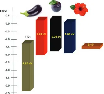 Figure 9. Schematic diagram showing the estimated position of HOMO  and LUMO levels and E gap  of the dyes extracted from eggplant, plum,  and hibiscus