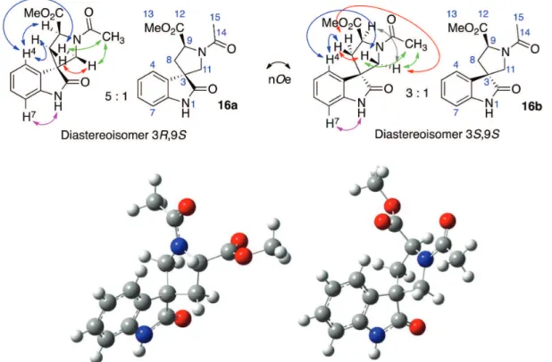 Figure 2. The stereochemistry of the diastereoisomers (16a-R,S on the left and 16b-S,S on the right), relative to L-tryptophan, as determined by nOe  interactions as well as the respective amide conformer populations for each diastereoisomer and DFT [B3LYP