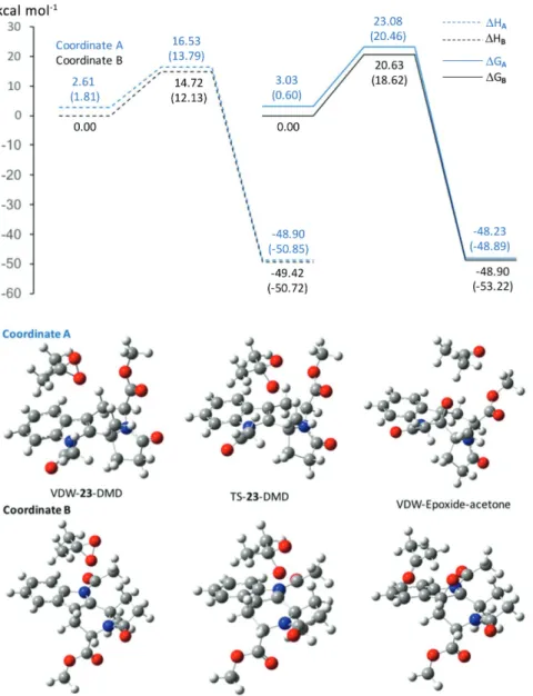 Figure 5. DFT (B3LYP//6-31+G(d)) calculated energies (∆H and ∆G, values in parenthesis correspond to values calculated with implicit solvation,  IEFPCM = water) and structures for stationary points for the epoxidation of 23 by DMD.